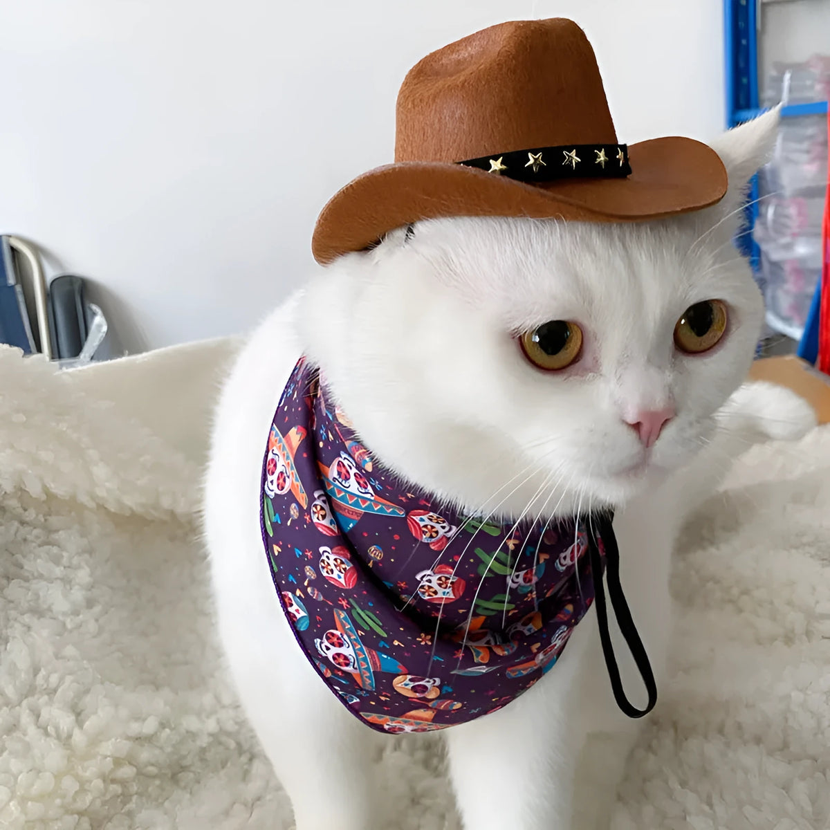 British cowboy hat for cats made from non woven fabric in brown with star velvet belt trim