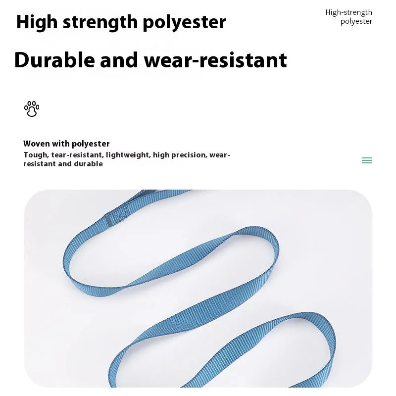 Blue polyester dog lead rope with a hand-holding loop, shown alongside other colour options including black, red, and grey.
