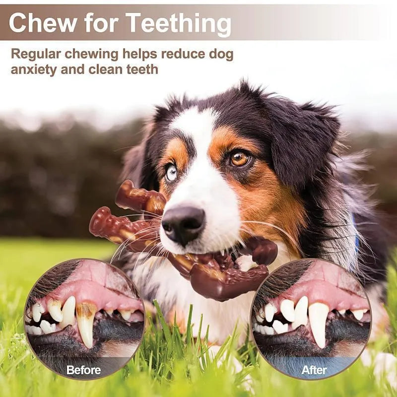 Scarlet-coloured nylon dog chew toy with beef flavour for molar nibbling.