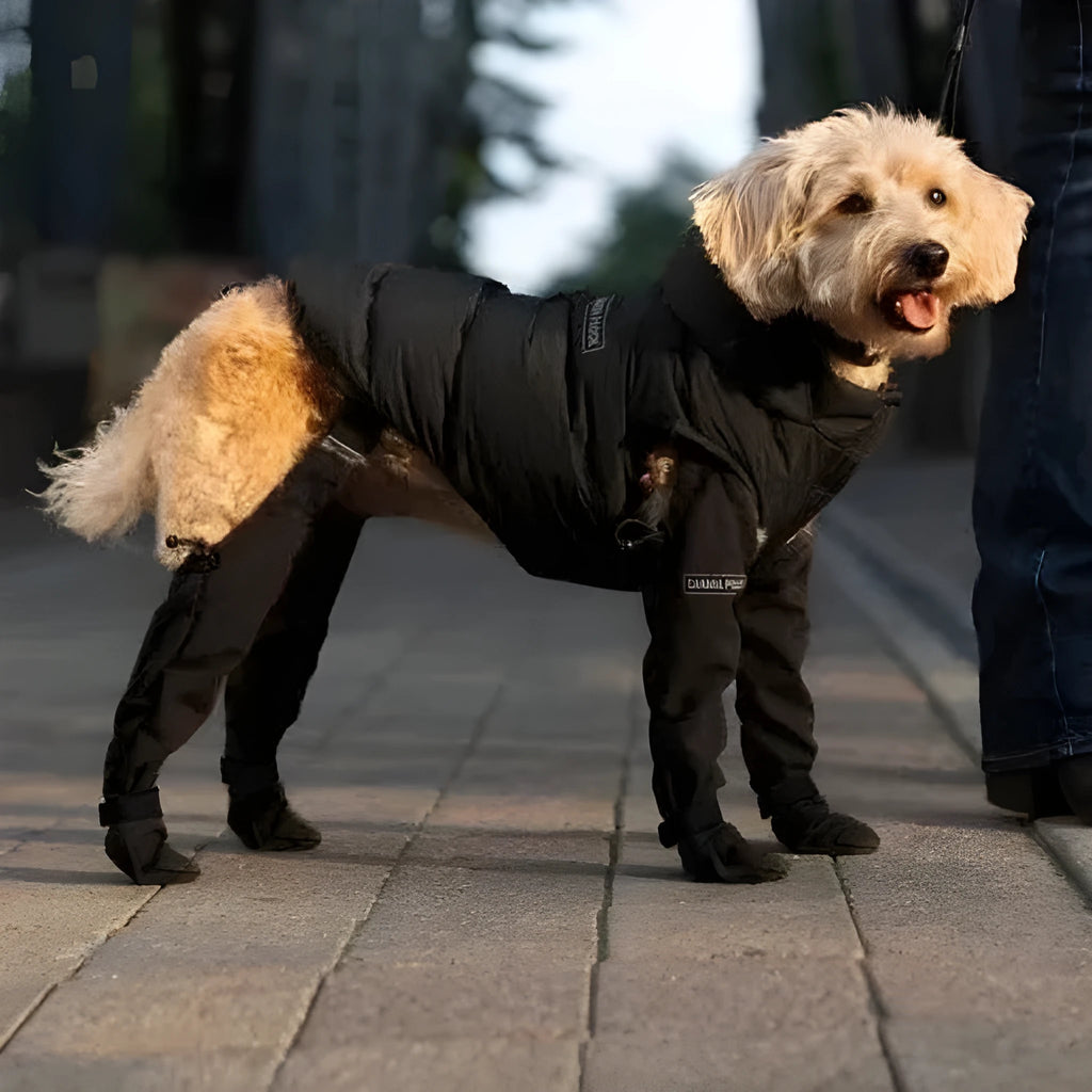 Black waterproof dog shoes with non-slip soles in six sizes for paw protection