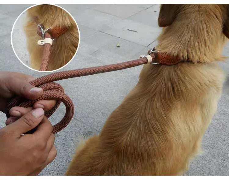 Brown nylon dog leash with hand-holding rope measuring 2.1 metres in length