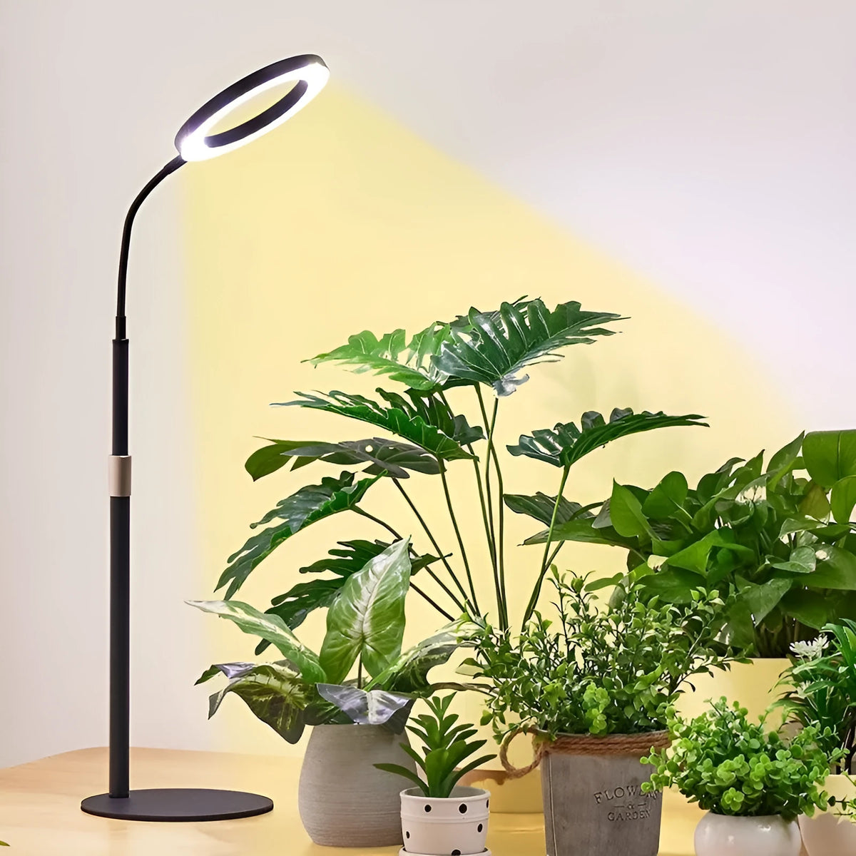 A white aluminium alloy retractable floor lamp with a 6-inch ring of 72 LED grow lights, extended to its full height.