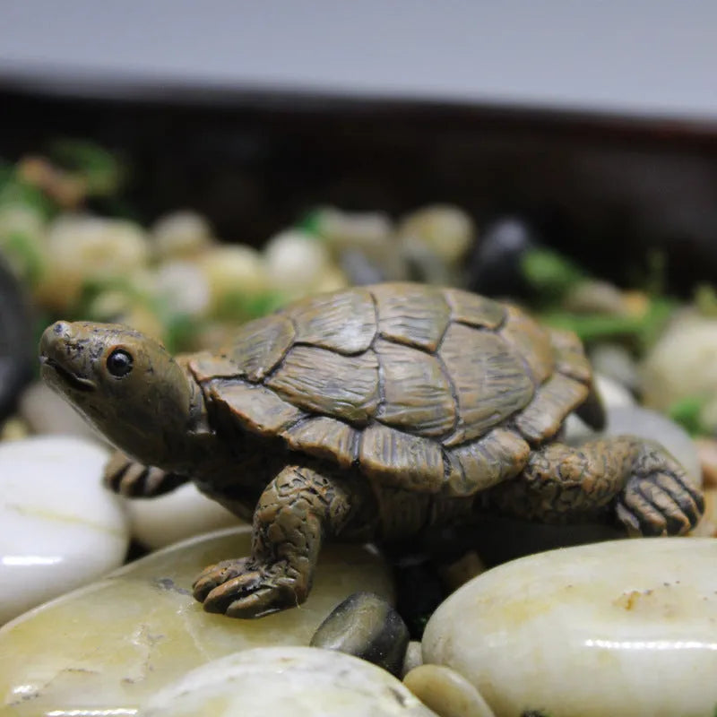 Resin simulated turtle ornament for micro landscape and gardening decoration