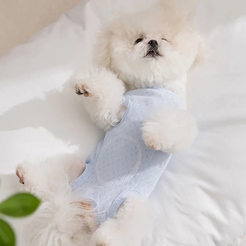 Breathable mesh pet shirt for small dogs and cats in blue or yellow with cat patch and button closure