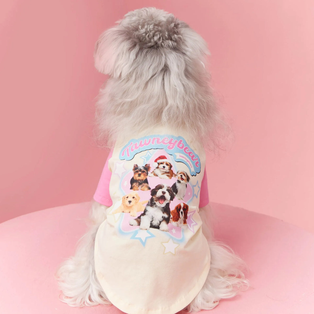 Cotton dog summer clothes in contrast colour design, available in embroidered red or pink, sizes XS to XXL