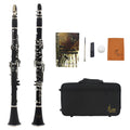 Black Bakelite 17-key beginner clarinet with nickel-plated keys and a carrying bag.