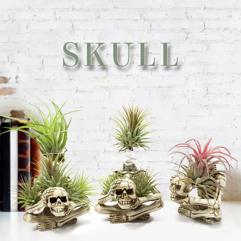 Gothic resin skull bracket holding a Tillandsia air plant, showing detailed skull ornament and layered construction.