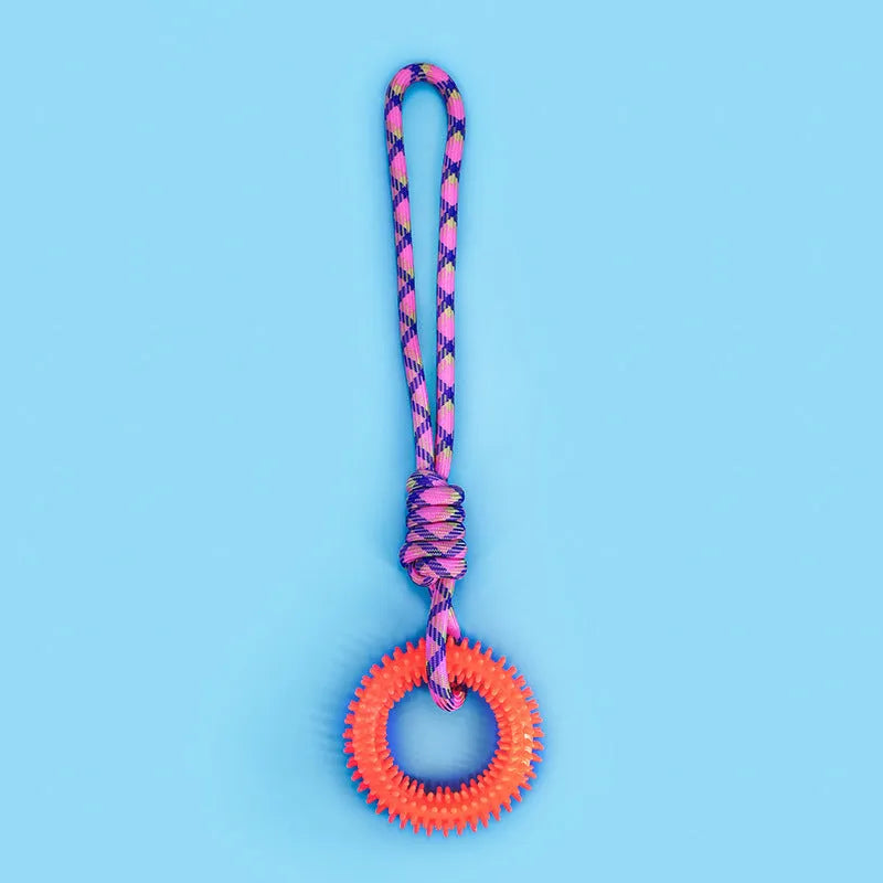 Blue braided rope dog toy with knotted design measuring 43cm long