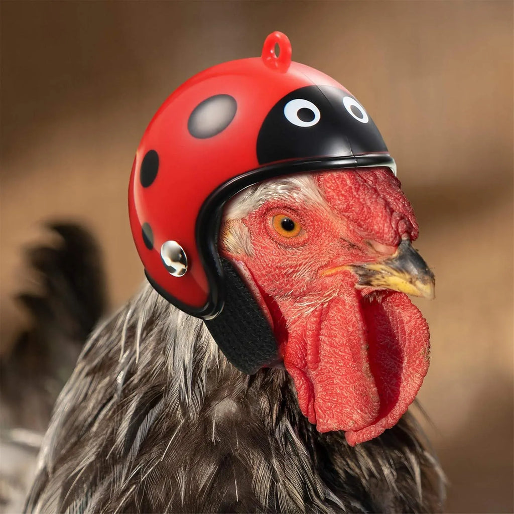 Adjustable hard plastic chicken helmet for small birds with elastic bands and sponge lining