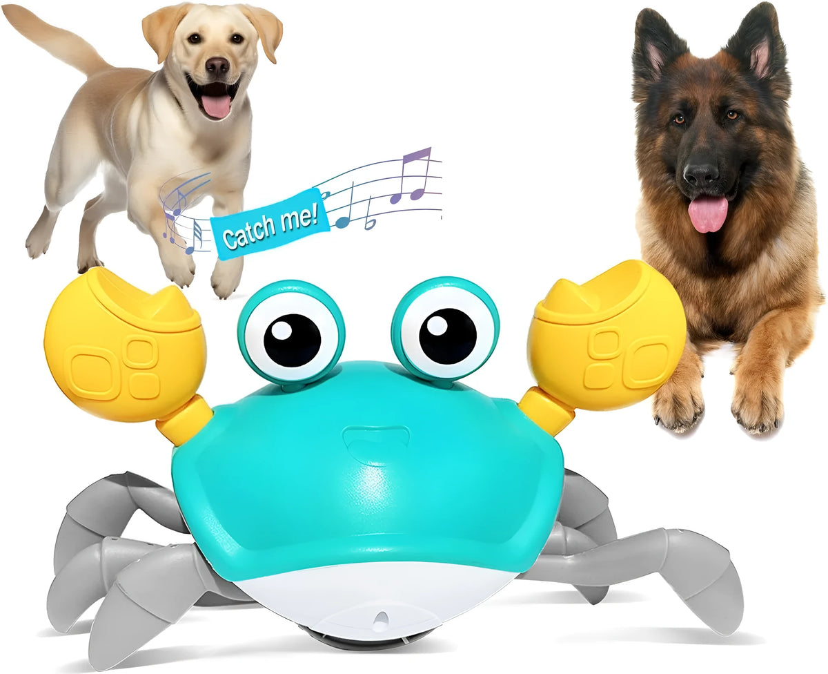 Blue electronic crawling crab dog toy with obstacle avoidance sensors on floor