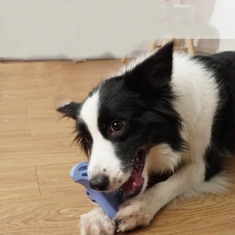 Blue boomerang-shaped natural rubber dog chew toy with raised ridges on a white background.