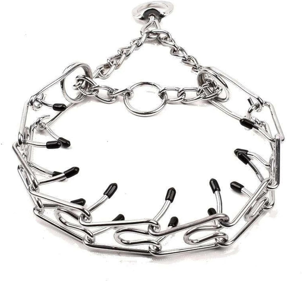 Stainless steel dog training pinch collar with comfort rubber tips, shown adjusted to fit a medium-sized dog's neck.