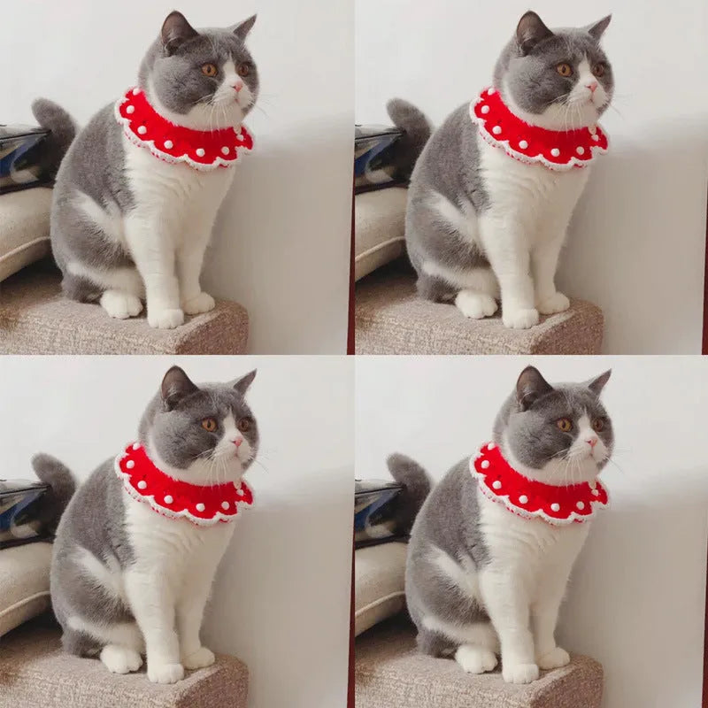 Knitted milk cotton collar with cartoon pattern for a small dog, showing the XS, S, M, and L size options.