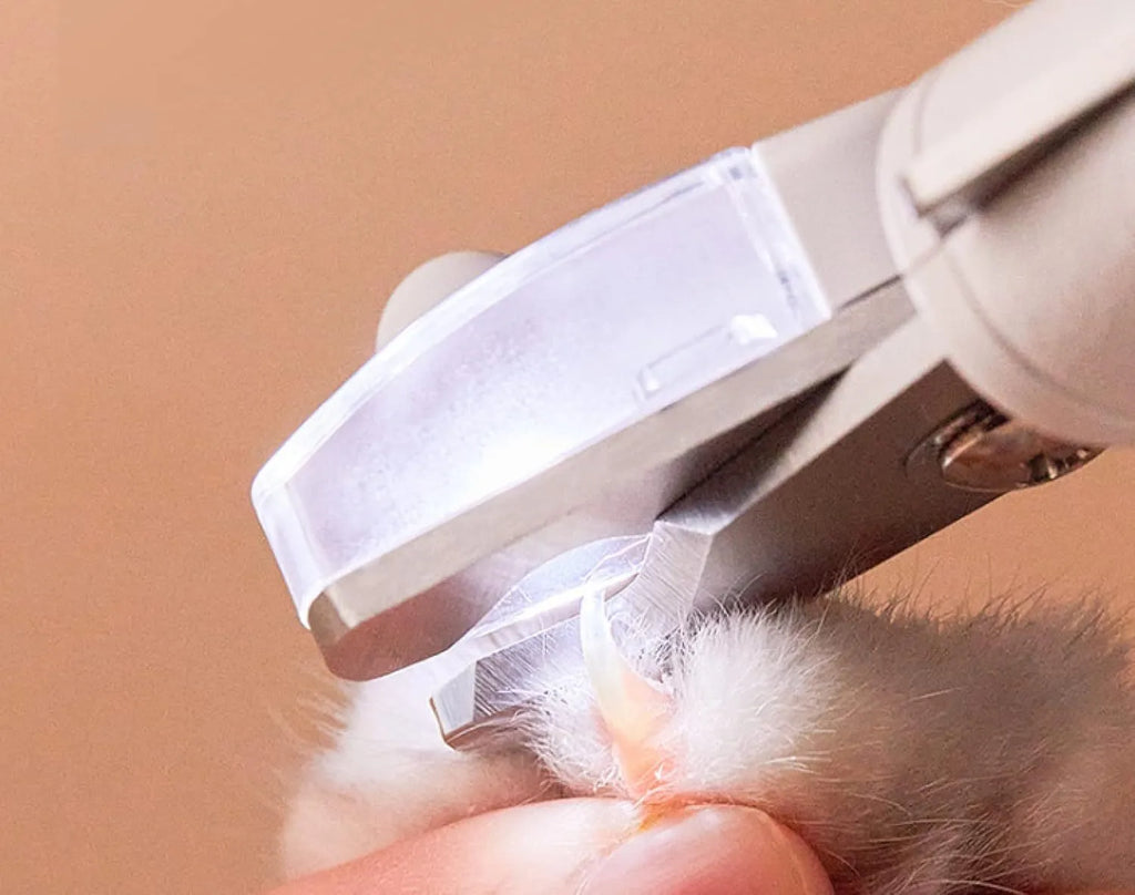 White LED pet nail clippers with transparent anti-splash guard open to show triangular stainless steel blades