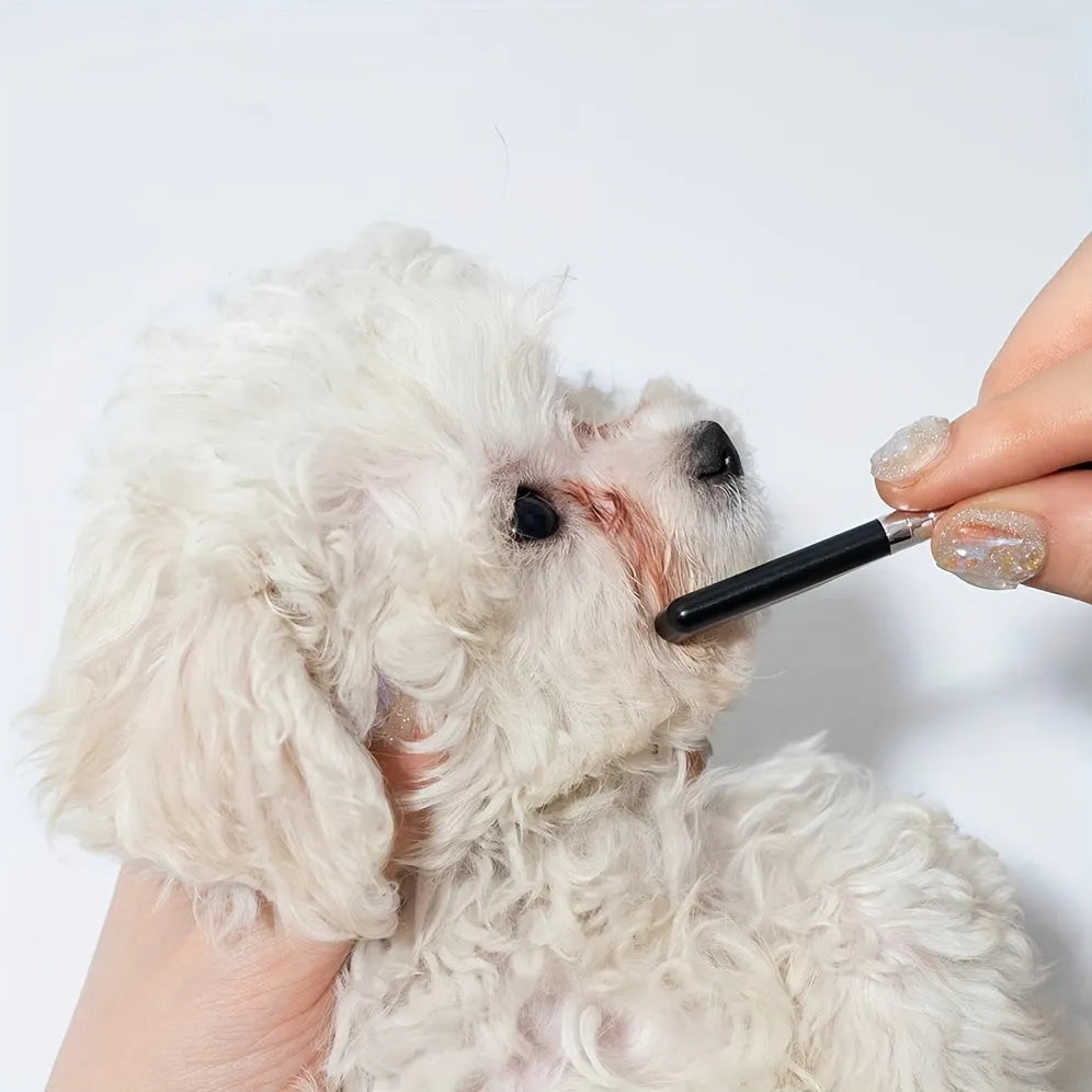 Black pet grooming brush with soft bristles for gentle eye area cleaning on dogs and cats