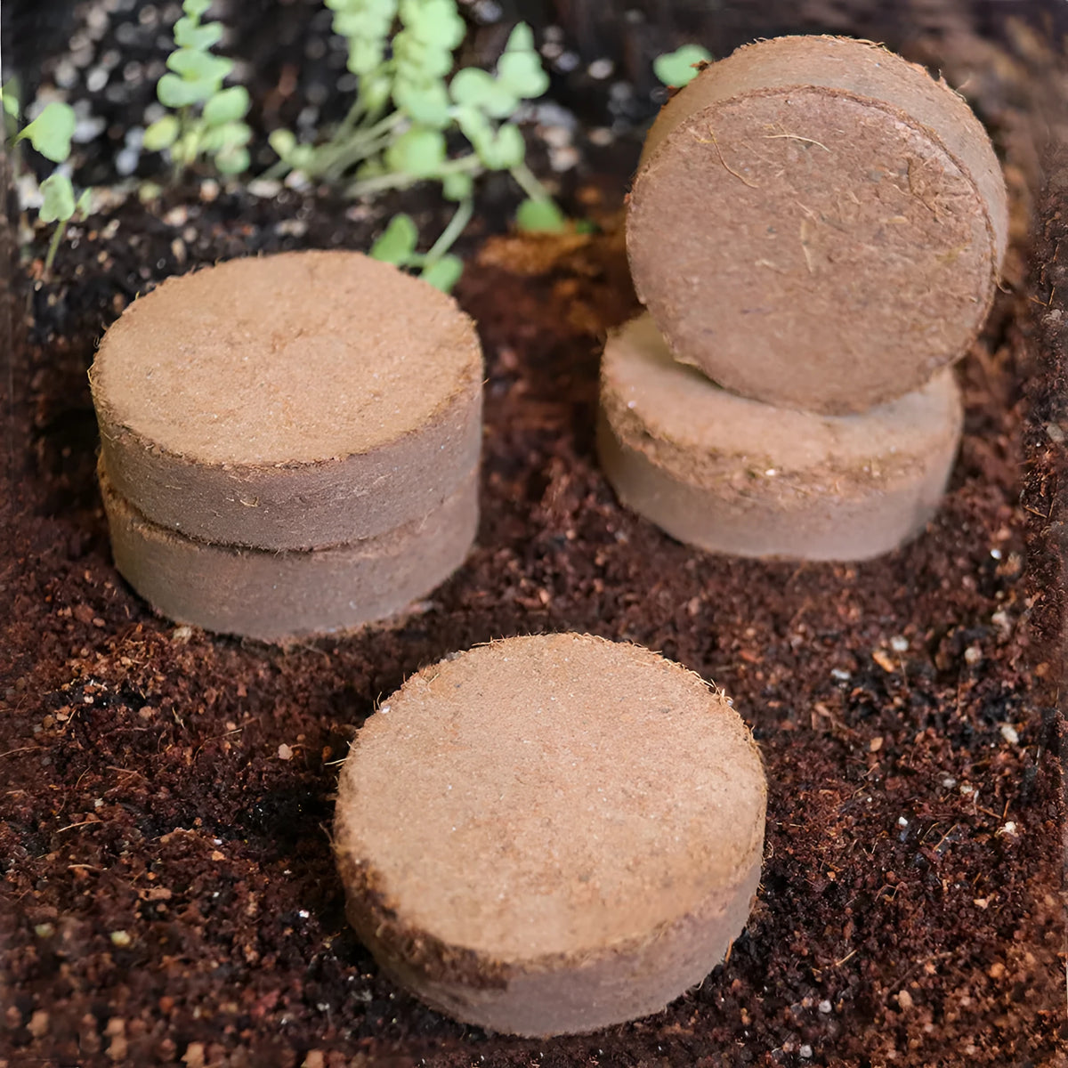 Selection of nutrient soil medium blocks in different sizes for vegetable seedling cultivation