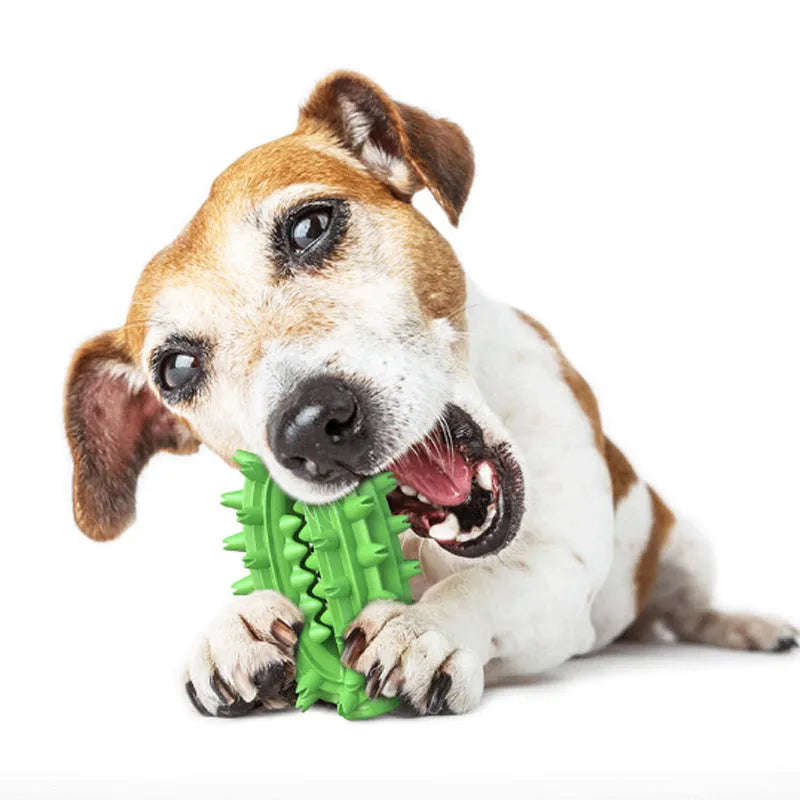 Green cactus-shaped dog toothbrush toy for aggressive chewers with textured dental cleaning surface