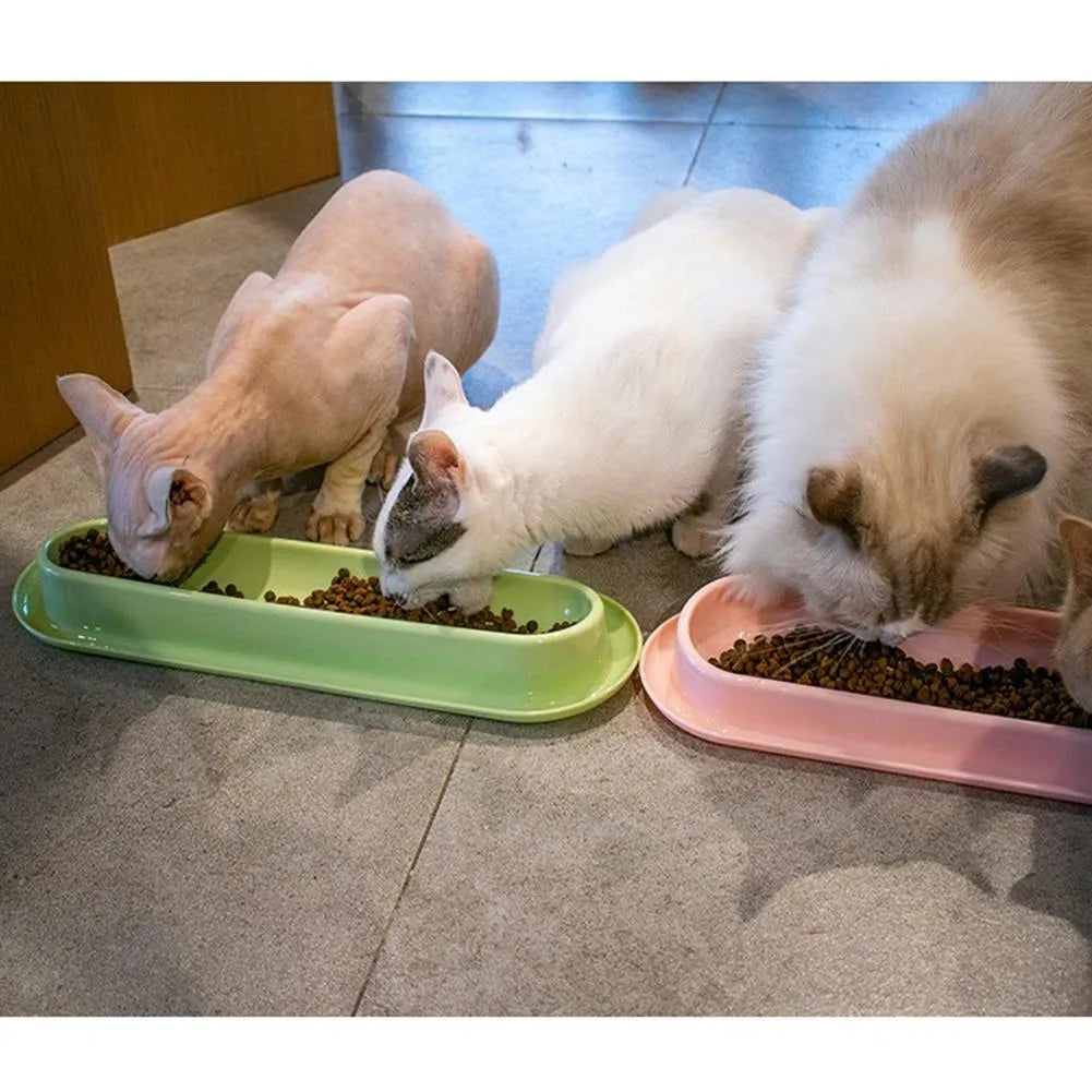 Green plastic pet feeder with separate food and water bowls for multiple small dogs or cats.
