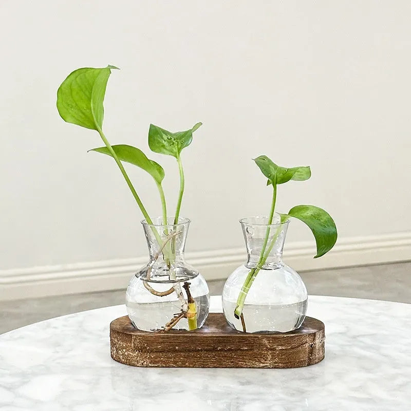 Wooden frame hydroponic vase decoration with transparent glass vases for indoor plants