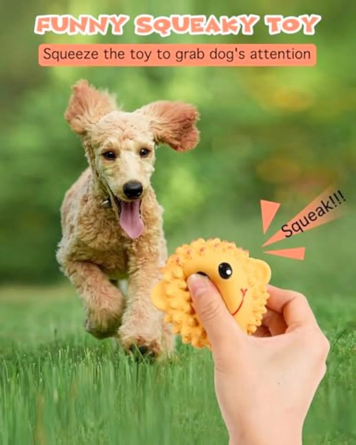 Orange and yellow squeaky latex dog toys with spiky texture for dental cleaning, 3-inch diameter