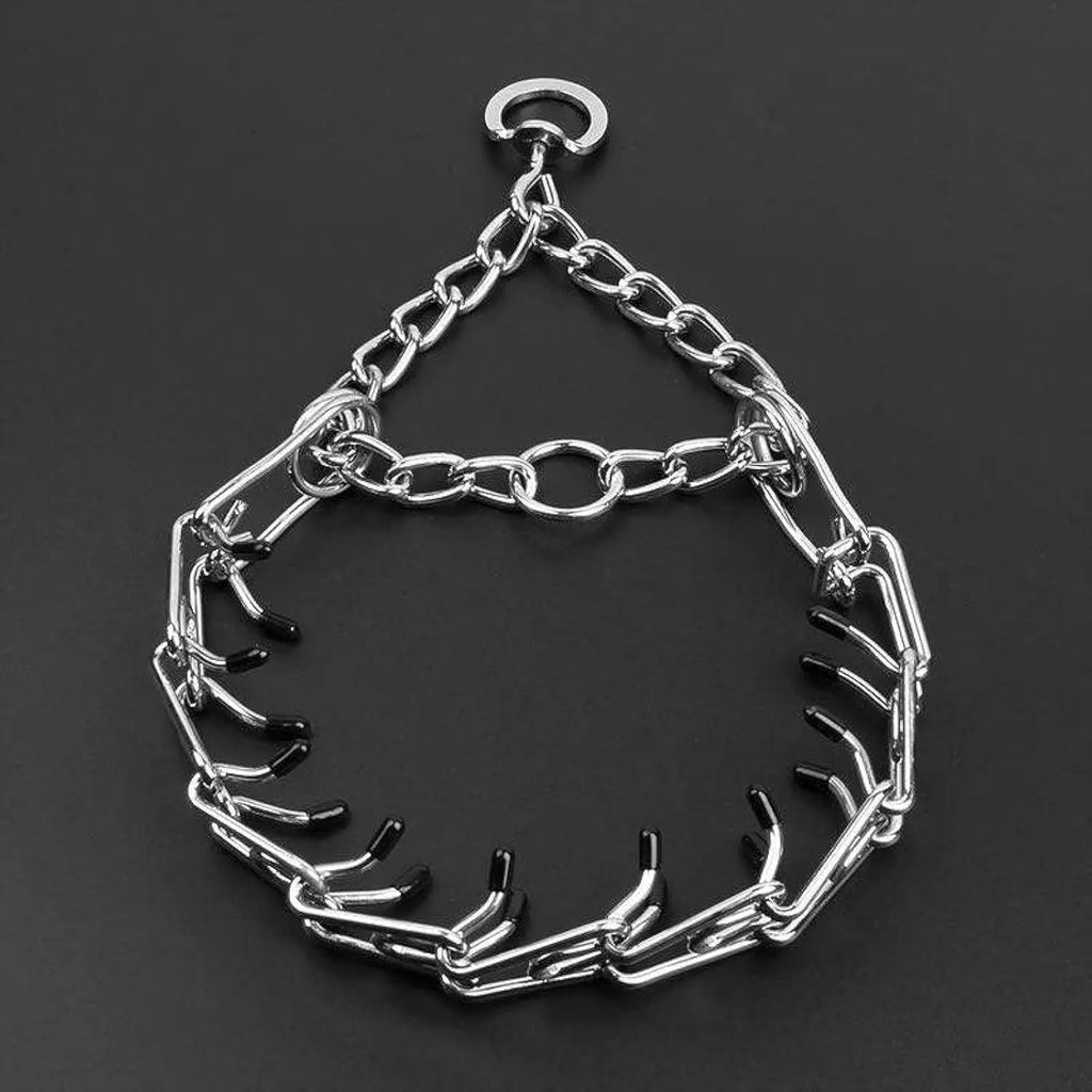 Stainless steel dog training pinch collar with comfort rubber tips, shown adjusted to fit a medium-sized dog's neck.