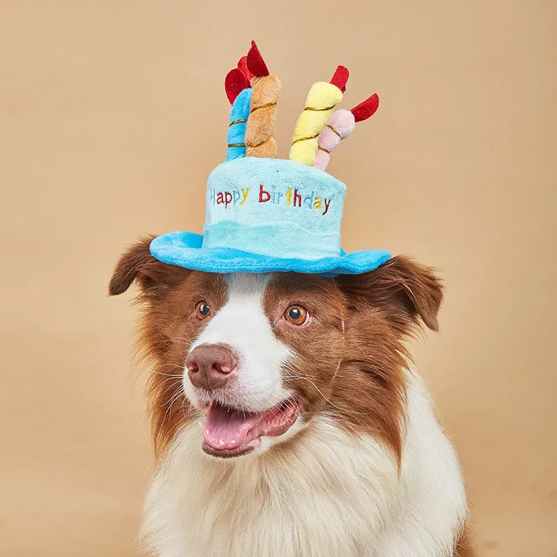 Blue and pink birthday hat for small dogs measuring 21cm wide by 15cm tall