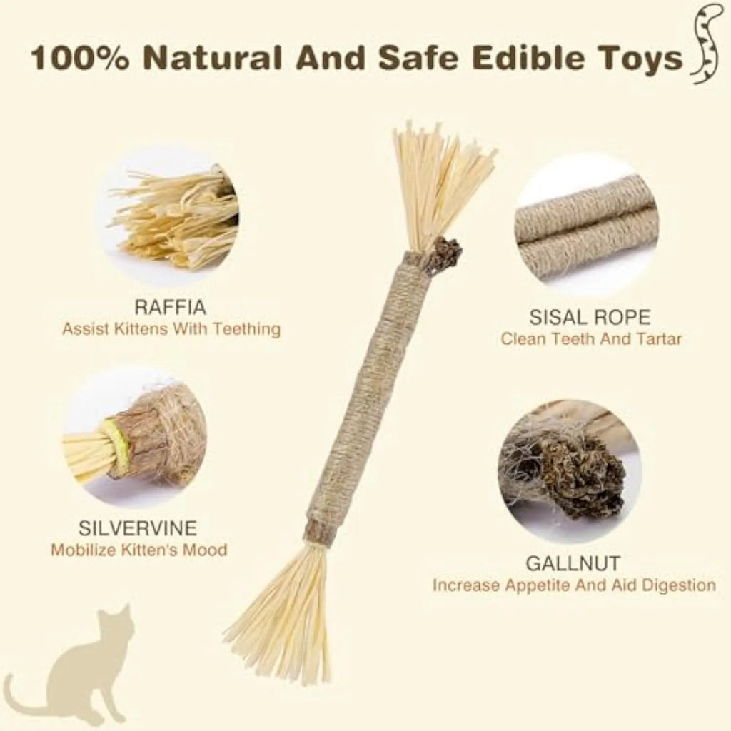 Three natural silvervine chew sticks for cats on a plain background, showing thick and fine diameter options.