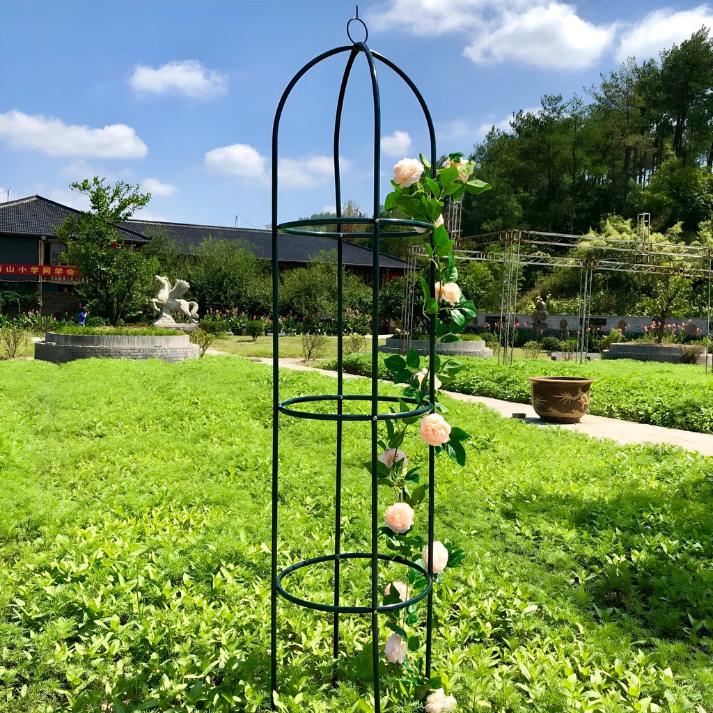 Dark green wrought iron plant climbing frame with lattice design for Liana vines
