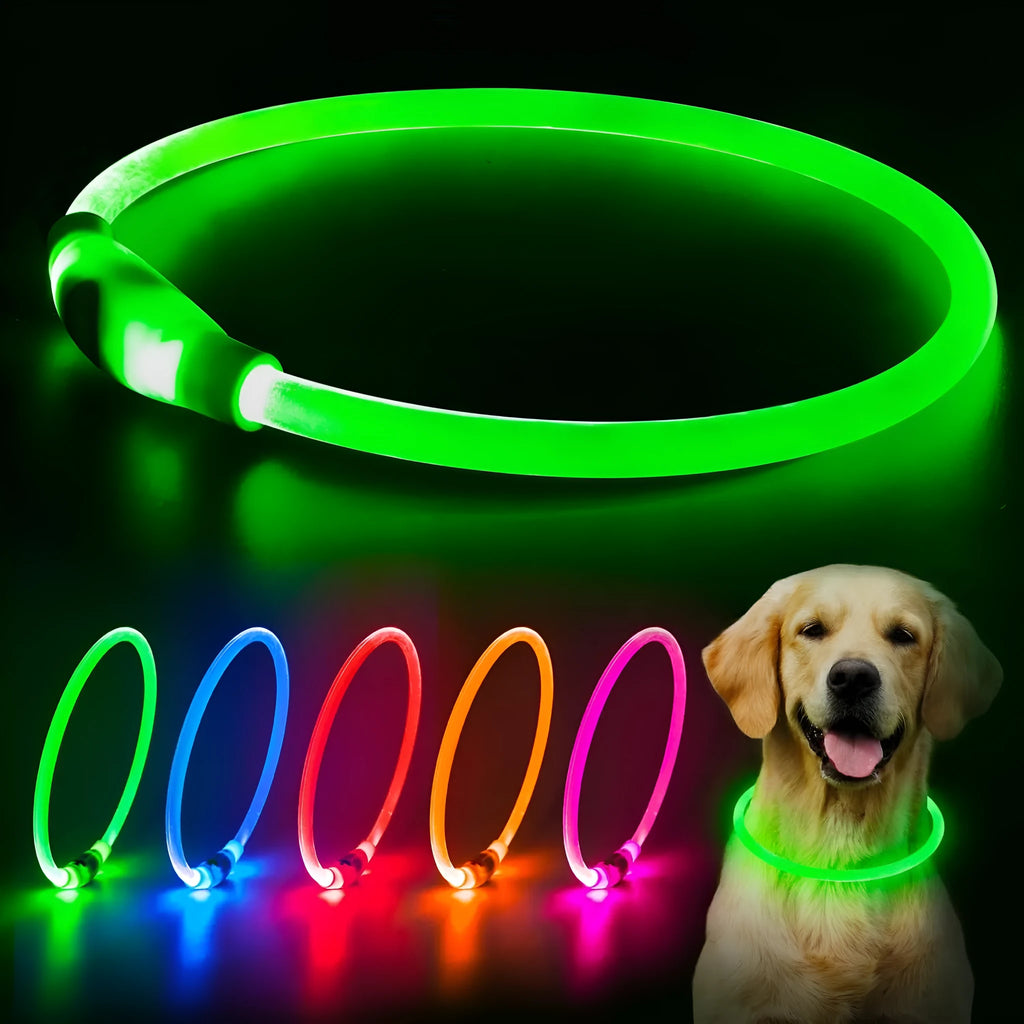 USB rechargeable LED dog collar showing blue illuminated band with adjustable 70cm length for night walking safety