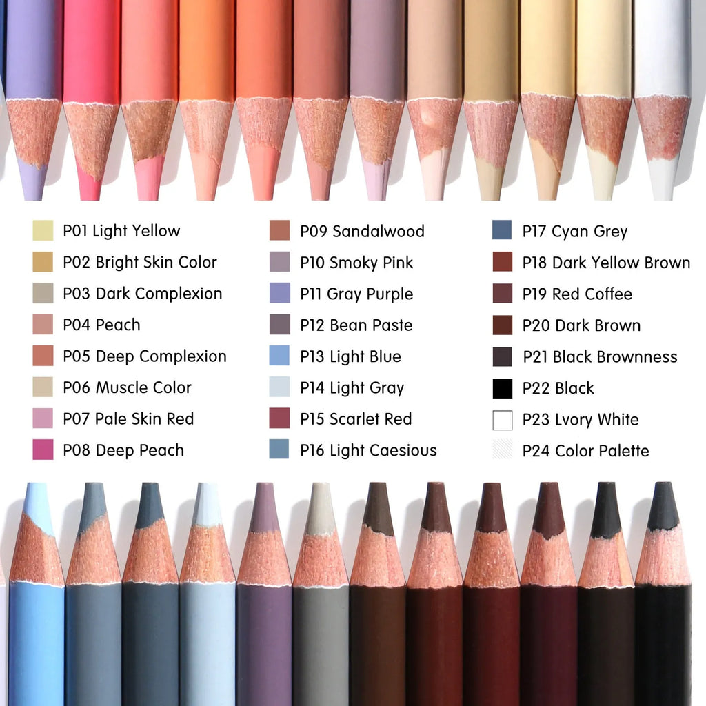 24 skin colour pencils in round iron box for portrait art with oil-based leads and HB hardness