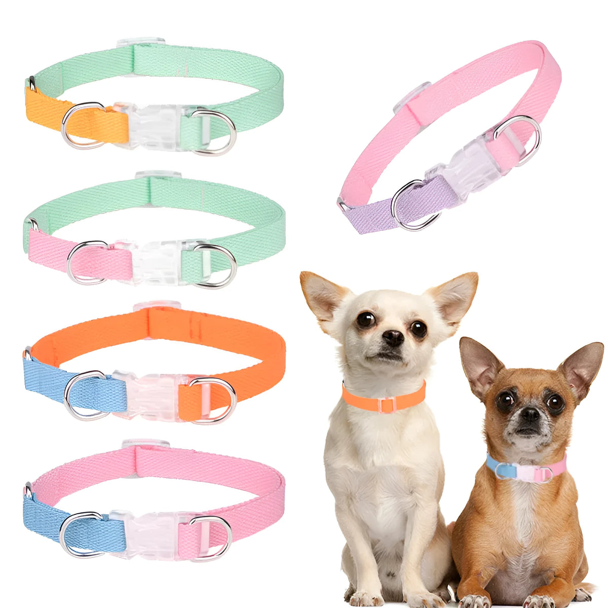 Polyester dog collar set with matching leash and chest strap in adjustable sizes