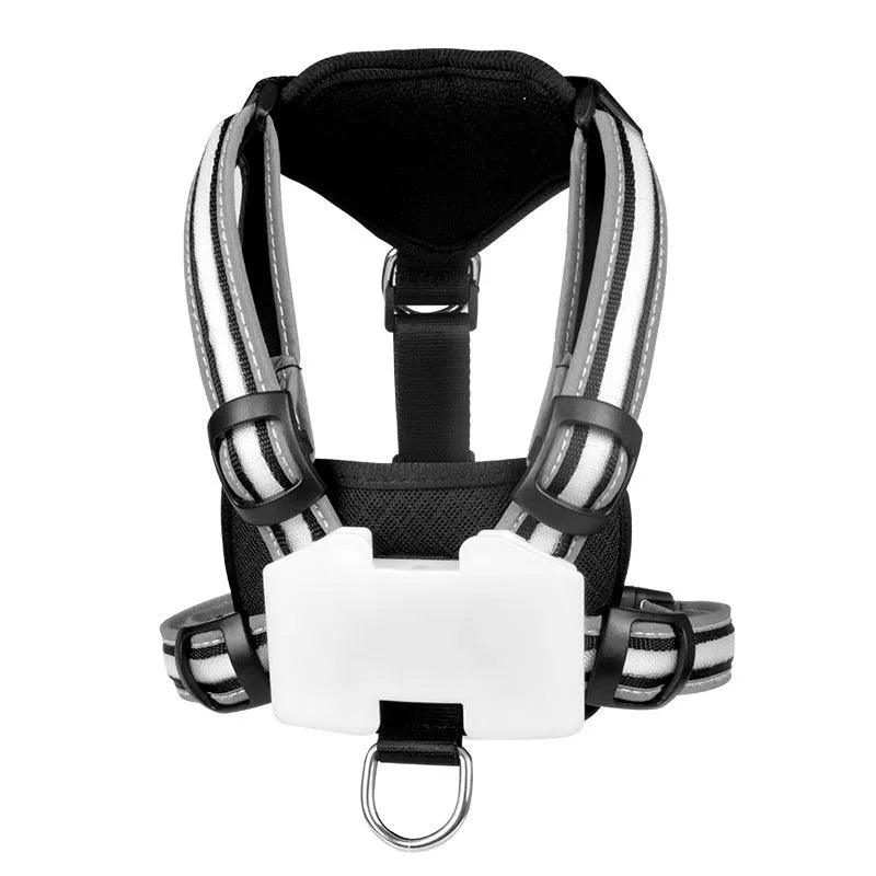 Nylon luminous dog lead with seven-colour LED lights and hand-holding rope design