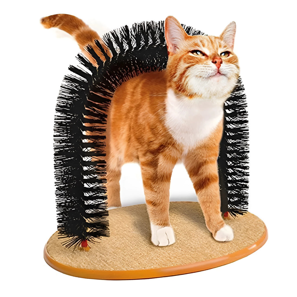 Arched plastic cat grooming scratcher with built-in brush bristles