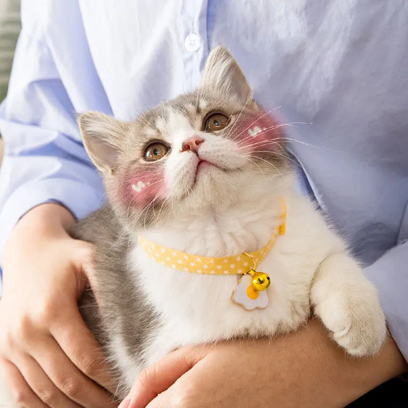 Green adjustable cat collar with a bow tie and bell pendant on a white background.