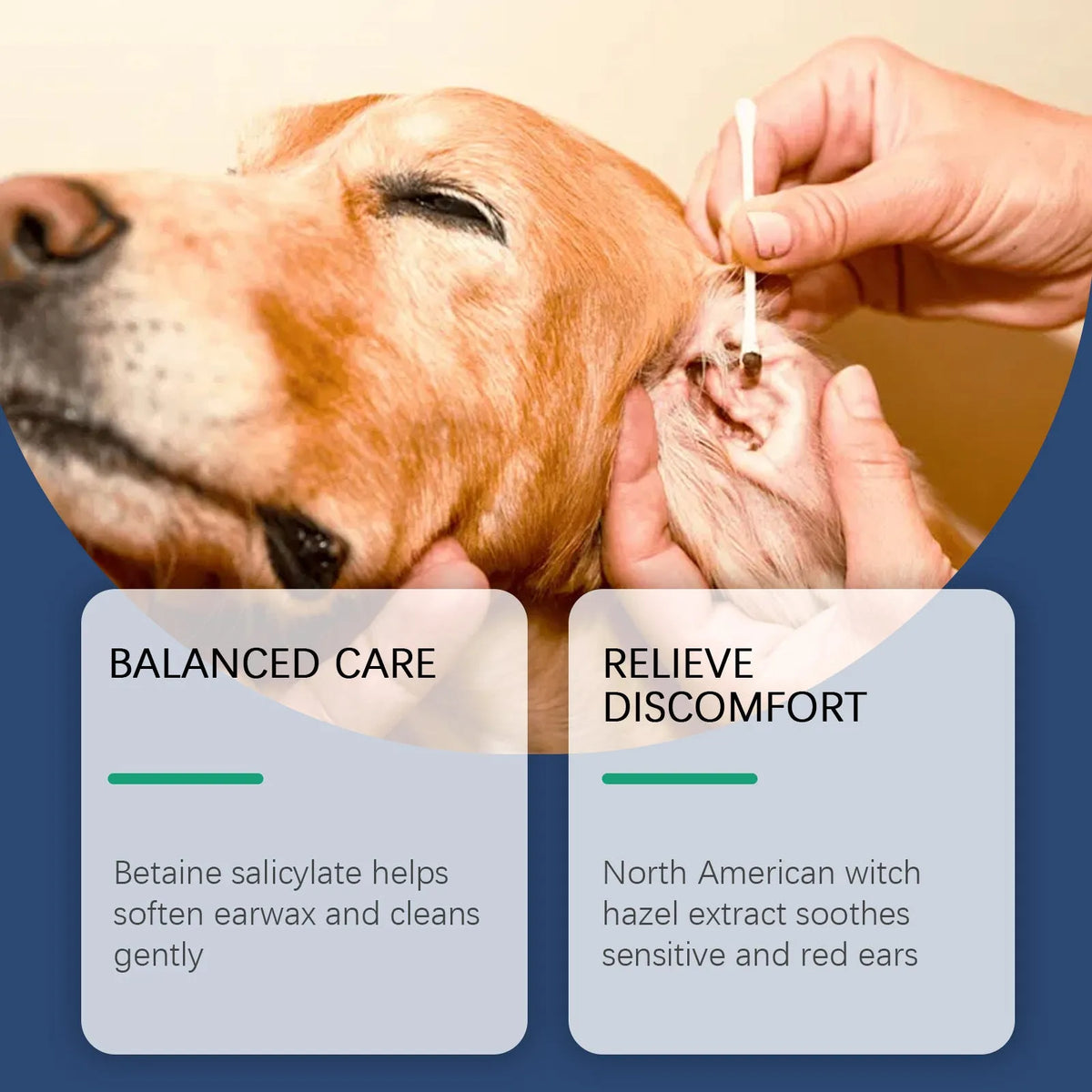 100ml bottle of cat and dog ear cleaner solution for pet ear hygiene