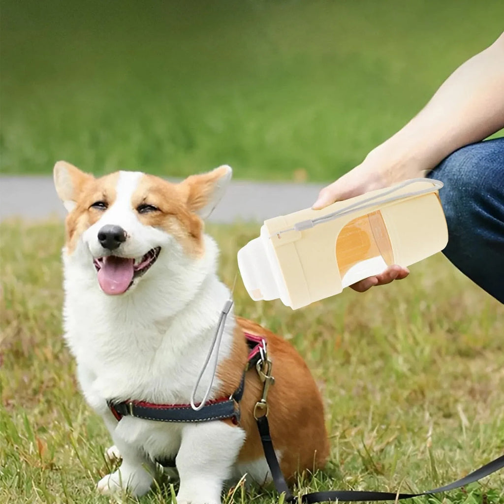 Grey 2-in-1 travel dog water bottle and food dispenser with lanyard attached, showing separate water and dry food compartments