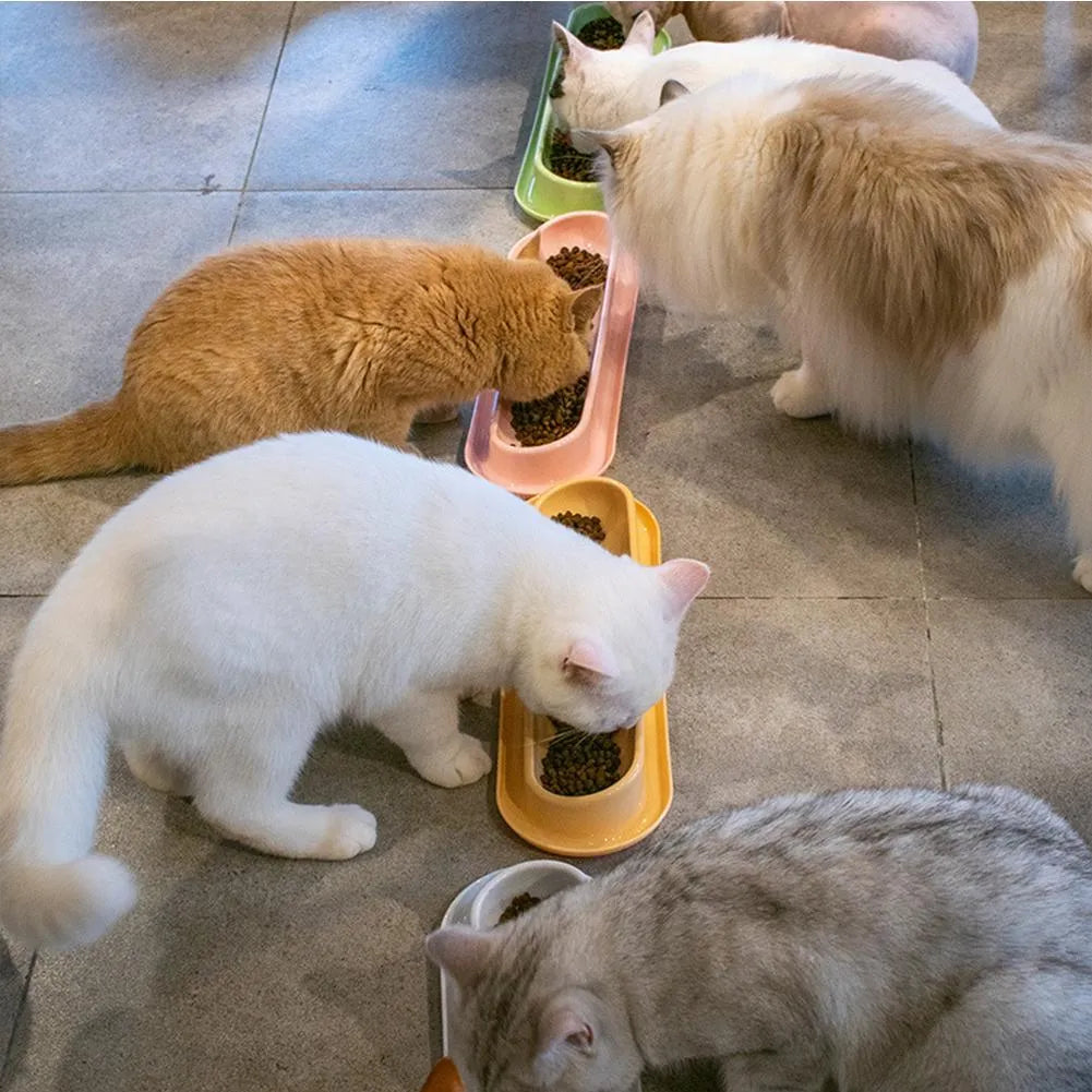 Green plastic pet feeder with separate food and water bowls for multiple small dogs or cats.