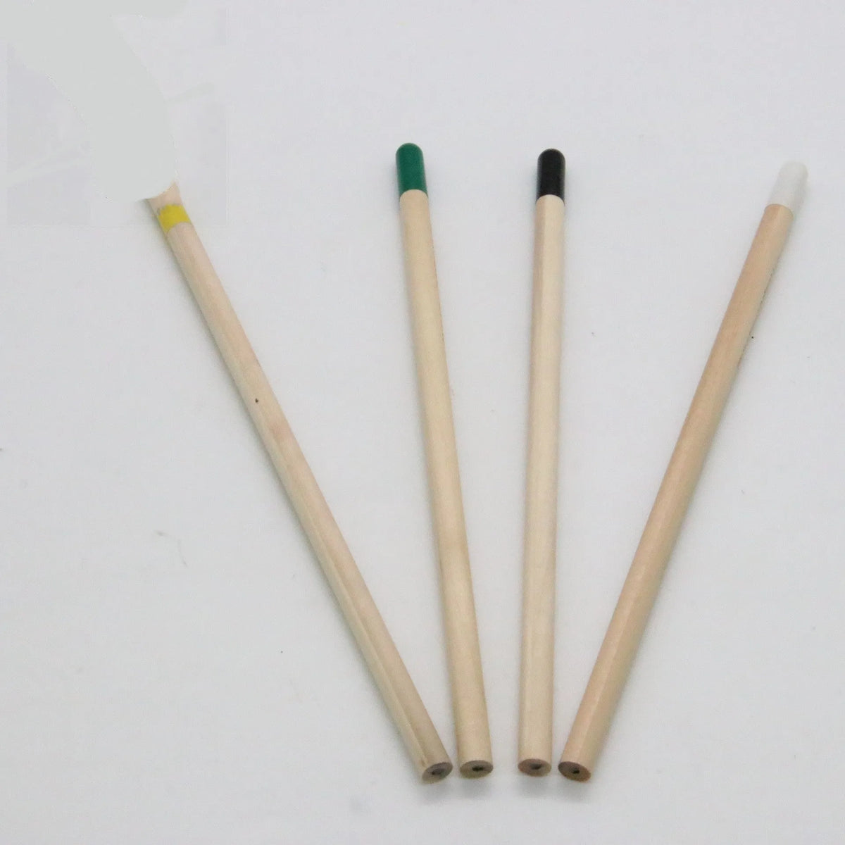 HB Seed Pencil with coloured degradable capsule containing plantable seeds on a soil background.