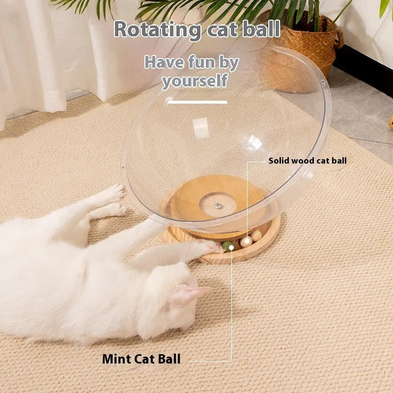 Transparent acrylic cat space capsule bathtub bed in multiple size options for indoor pet furniture