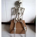 170cm tall plastic skeleton prop with detailed skull on white background