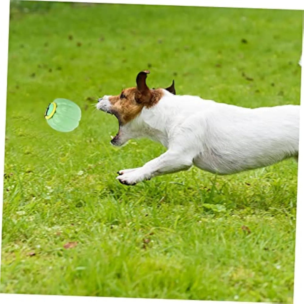 Green, orange, and yellow plastic squeaky pumpkin dog ball toy for small dogs, 68mm diameter.