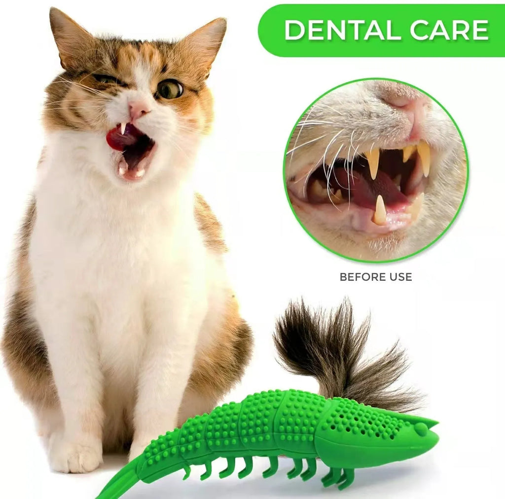 Blue hard rubber cat dental toy with catnip and bell inside for interactive play