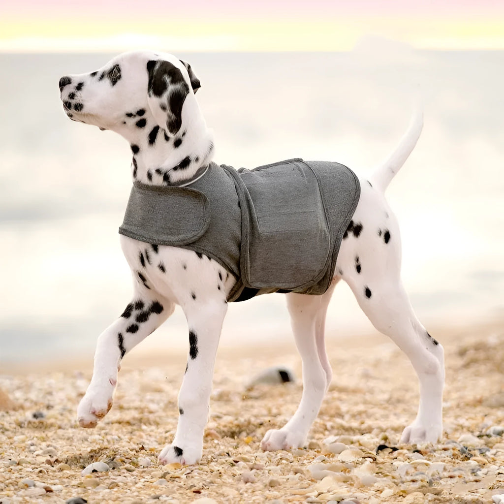 Heather grey dog anxiety jacket and warm vest in brocade cotton ponte fabric showing size range