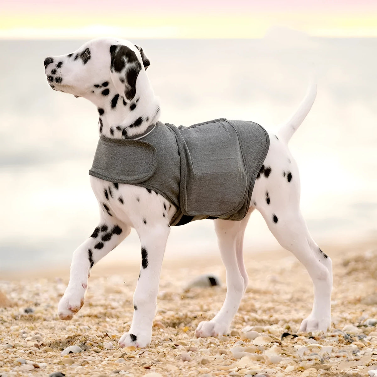 Heather grey dog anxiety jacket and warm vest in brocade cotton ponte fabric showing size range