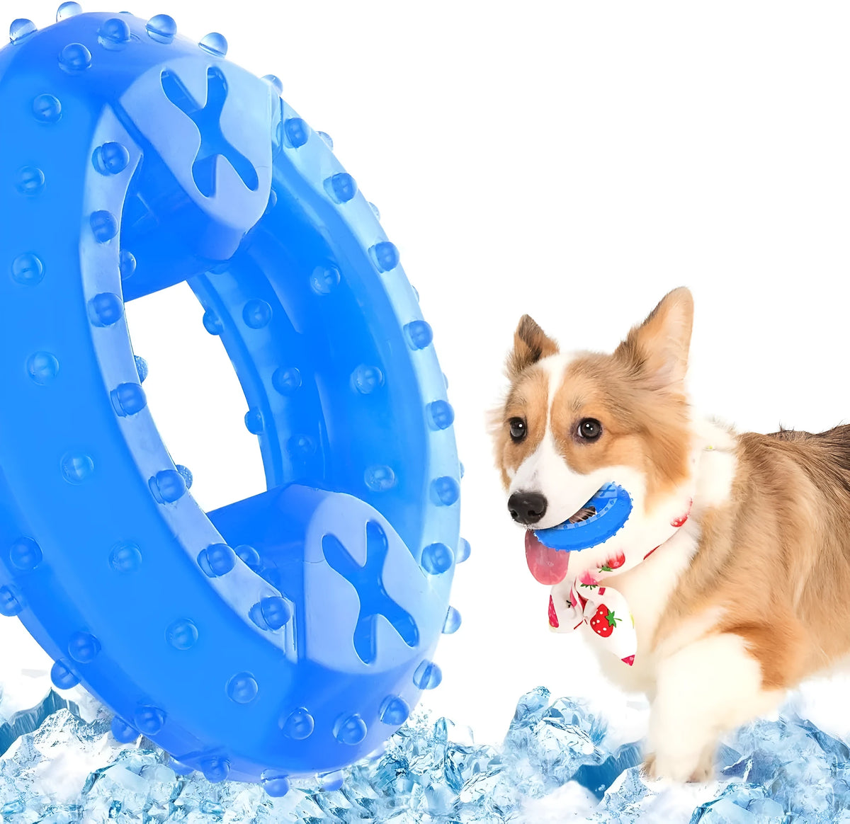 Freezable non-toxic dog teething chew toy with treat filling for cooling and dental care.