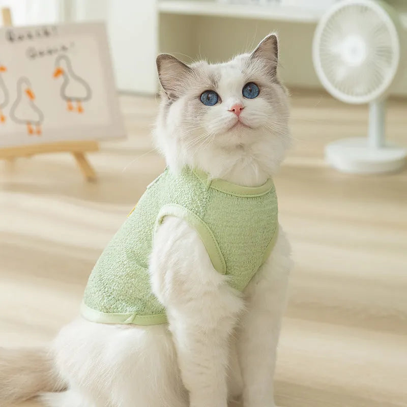 Cartoon bear patch cat clothes in knitted fabric with hollowed-out breathable design