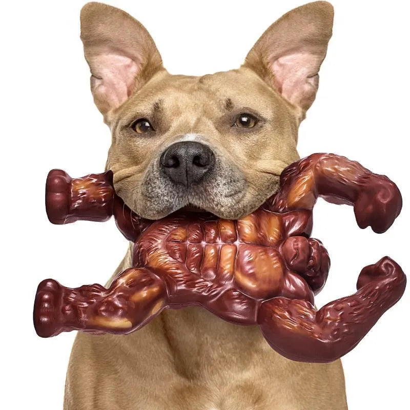 Scarlet-coloured nylon dog chew toy with beef flavour for molar nibbling.