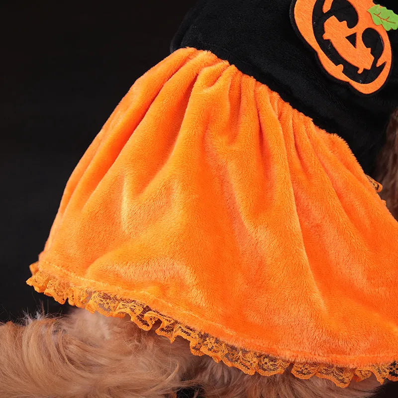 Halloween pet costume for dogs - pumpkin skirt and sweater options in crystal velvet fabric