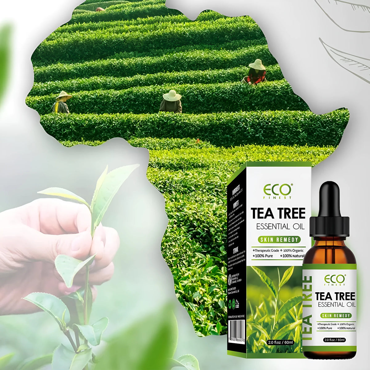 60ml tea tree essential oil roll-on bottle for acne treatment and skincare