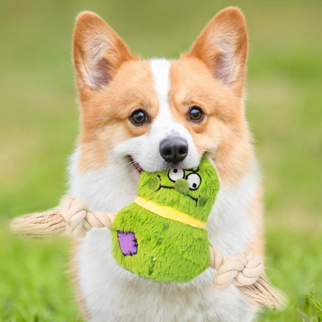 Green and purple plush dog toy with rope knots and a molar tooth shape for tug of war and chewing.